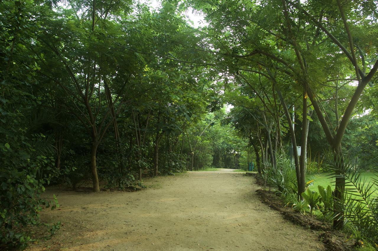 The Riverwood Forest Retreat Pench Khawasa Экстерьер фото
