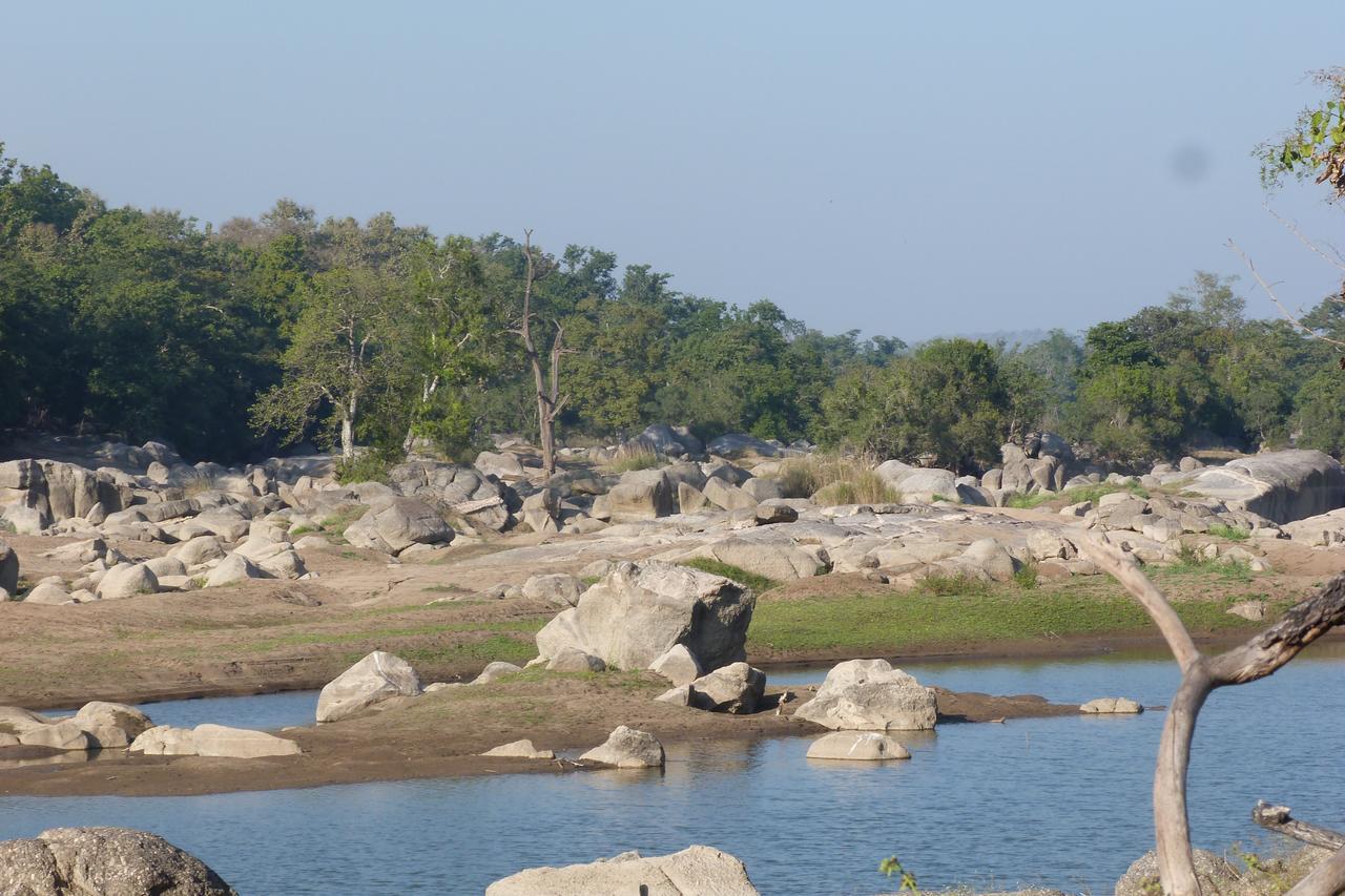 The Riverwood Forest Retreat Pench Khawasa Экстерьер фото